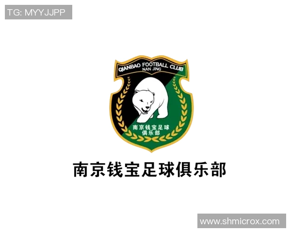 专业解读：南京足球队的运营打法