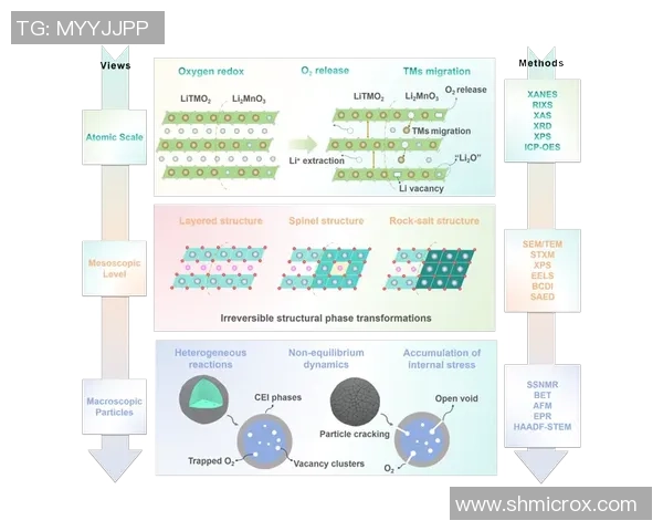 王者荣耀焦点：LNG的团队协作探讨